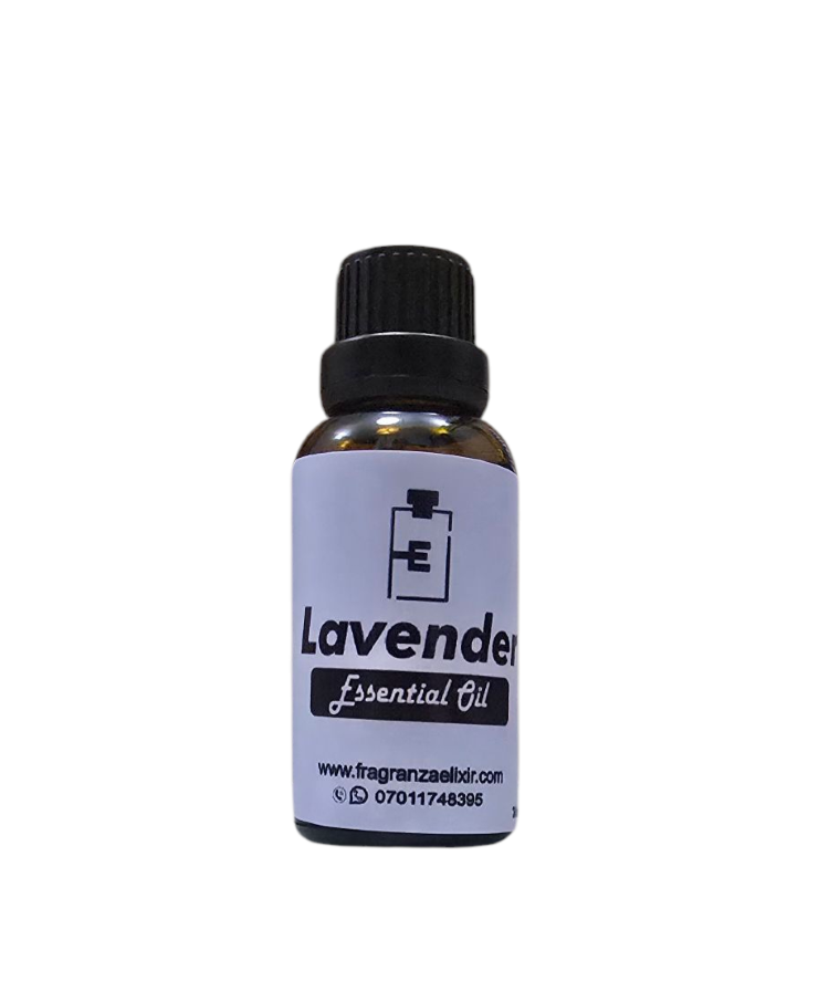 Lavender Essential Oil